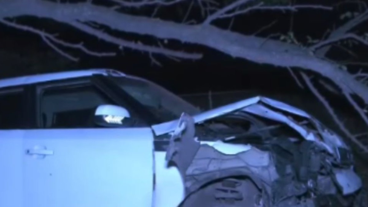 Conductor resulta ileso tras impactar contra un árbol en la carretera de Oro