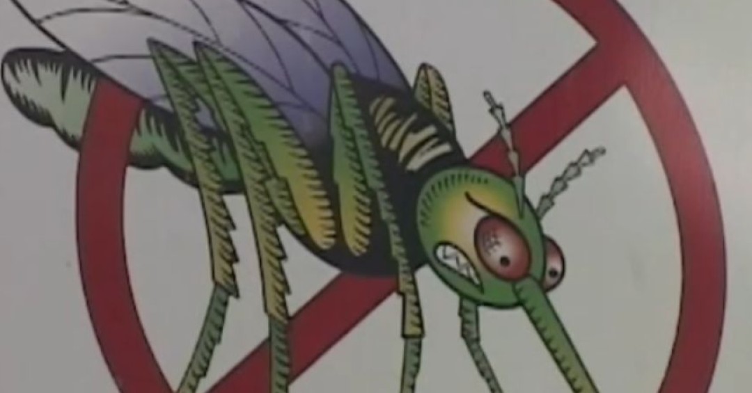 OPS aprueba marco regional para enfrentar dengue y arbovirus en las Américas