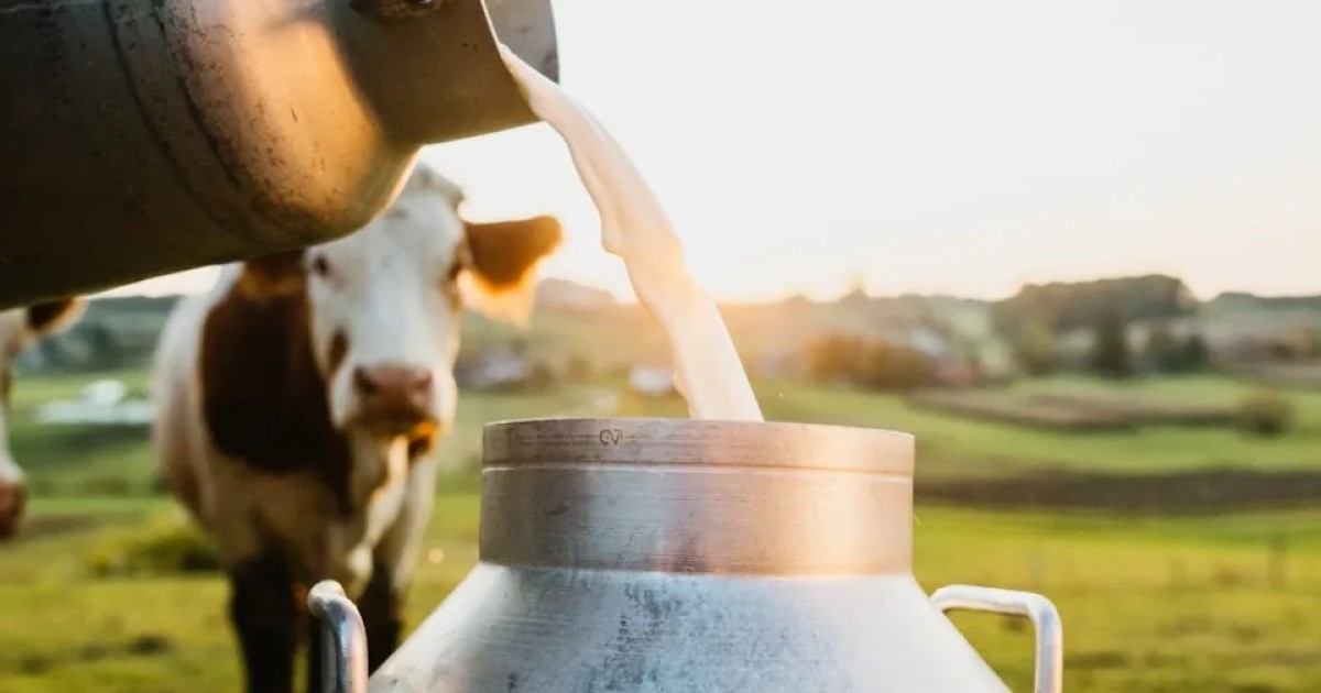 Mesa Agropecuaria responde a reforma: dice que uso de leche en polvo generará más competitividad y empleo