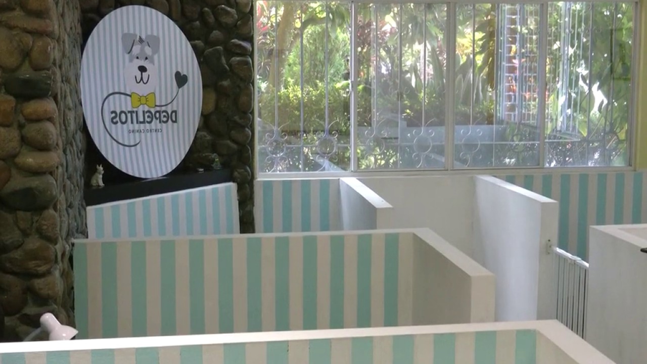 Hotel para perros