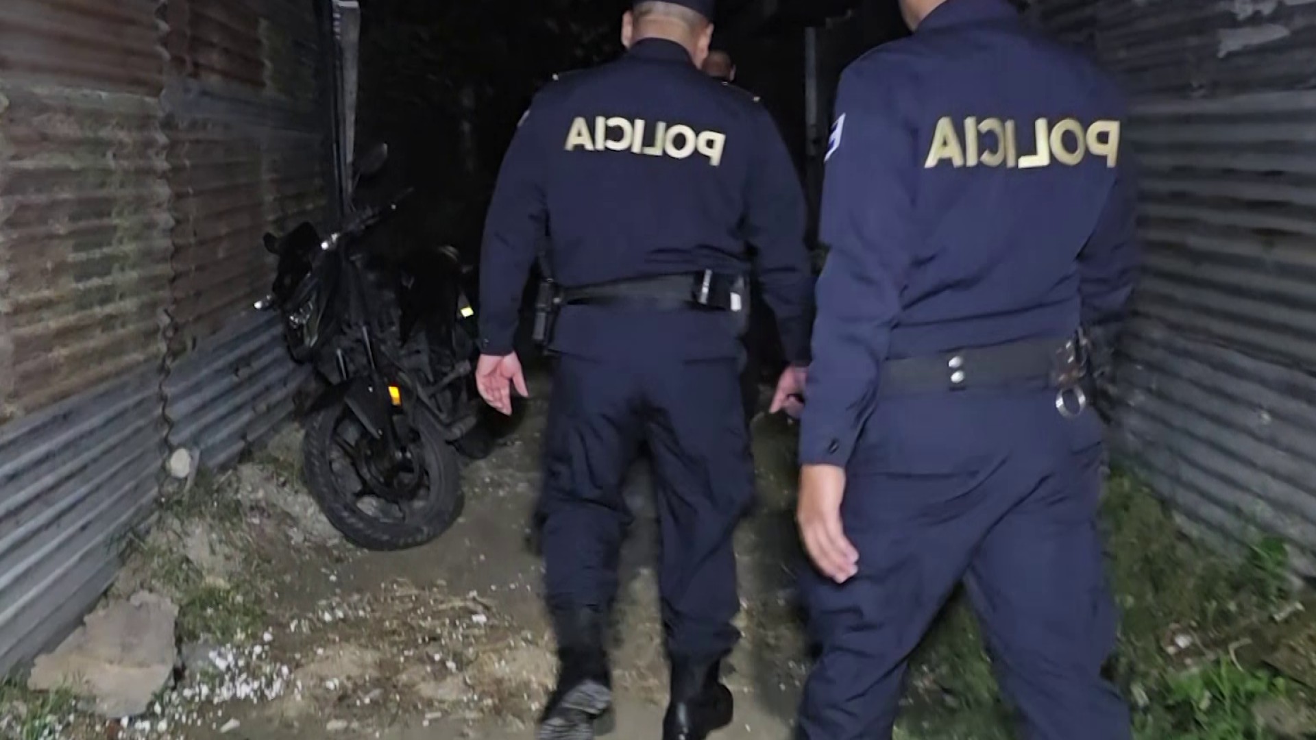 Detenidos por hurto y comercialización ilegal