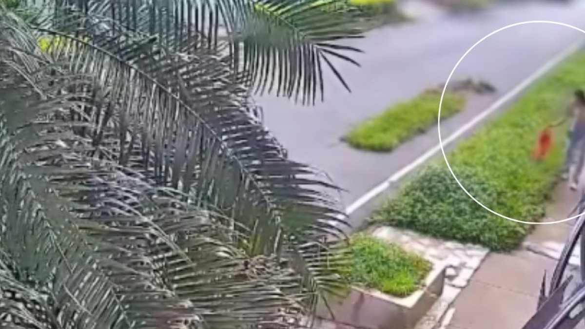 Captan a mujer abandonando una camada de gatitos en una calle de Santa Ana