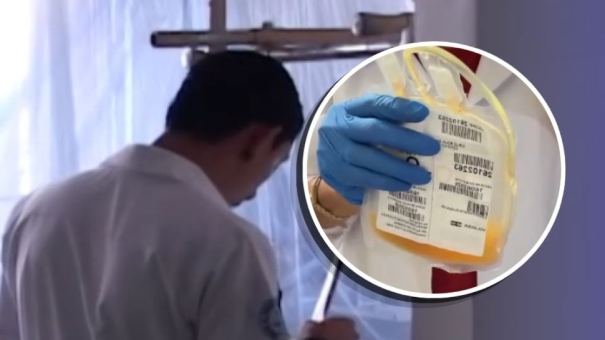 ¿Faltan plaquetas? Cruz Roja Salvadoreña alerta por bajas reservas ante casos de dengue