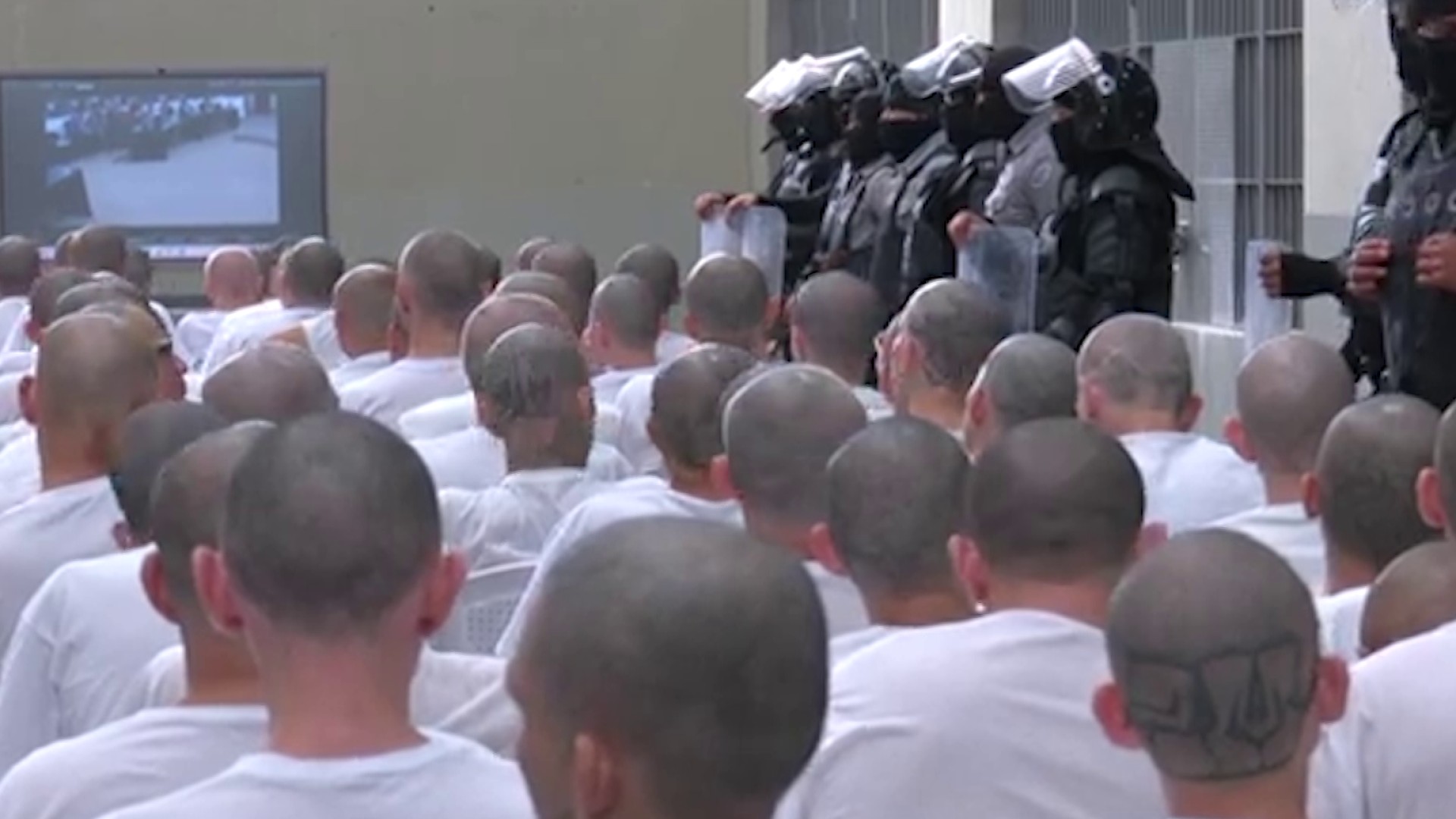 Reprograman fecha para fallo en juicio contra más de 400 miembros de pandillas