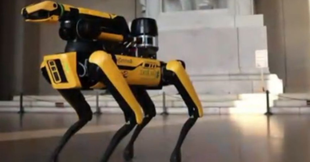 ICE invertirá $2 millones en perros robots para inspecciones de alto riesgo en EE.UU.