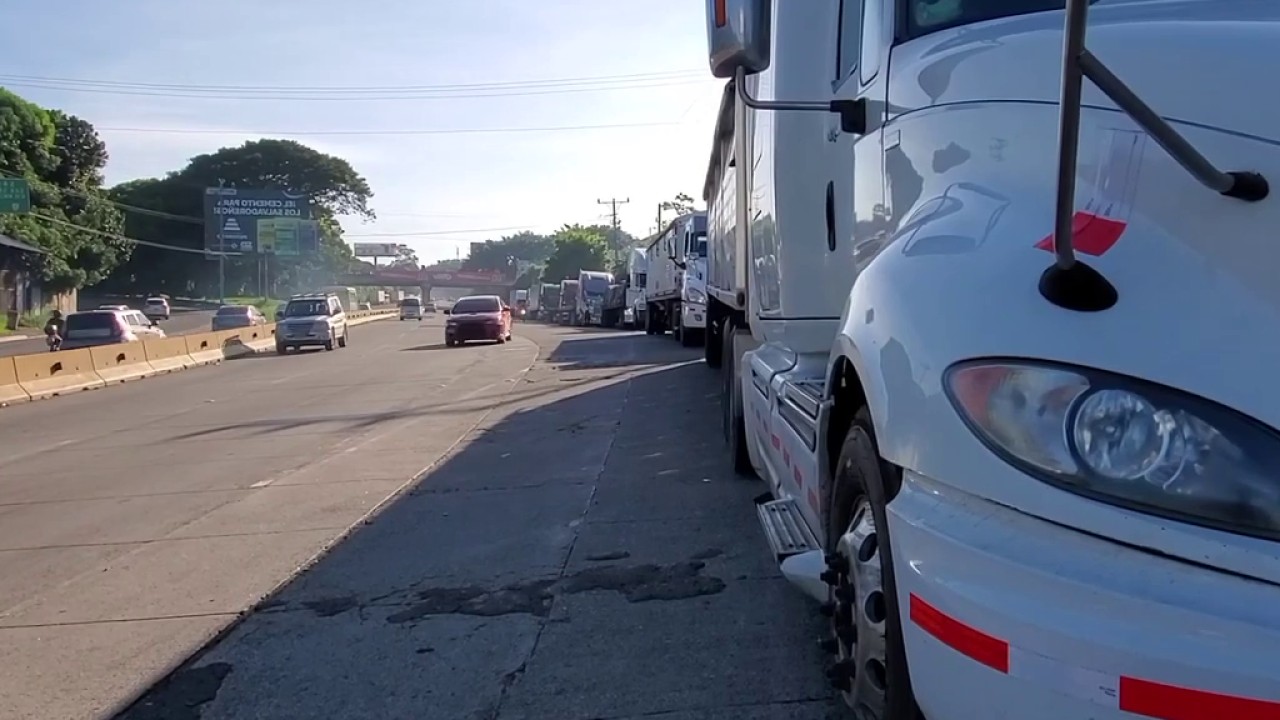 Licencias para diferentes transportes de carga pesada