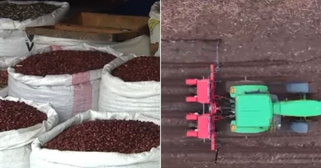 Fenómeno del Niño provoca crisis agrícola en el Corredor Seco de Centroamérica