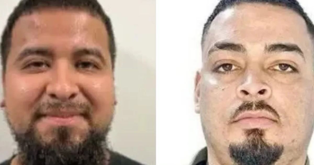 ICE arresta a dos salvadoreños miembros de la MS-13 en Washington y Las Vegas