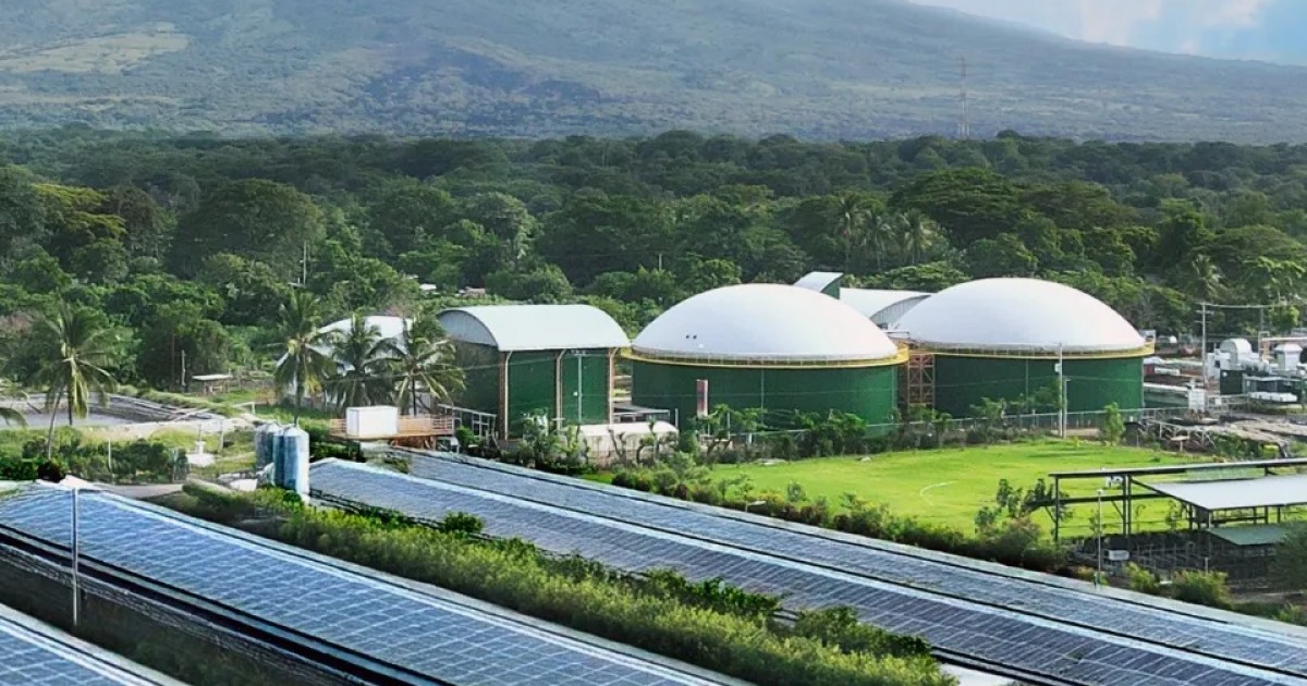 Grupo Campestre crece en El Salvador y ya exporta sus productos a  Estados Unidos