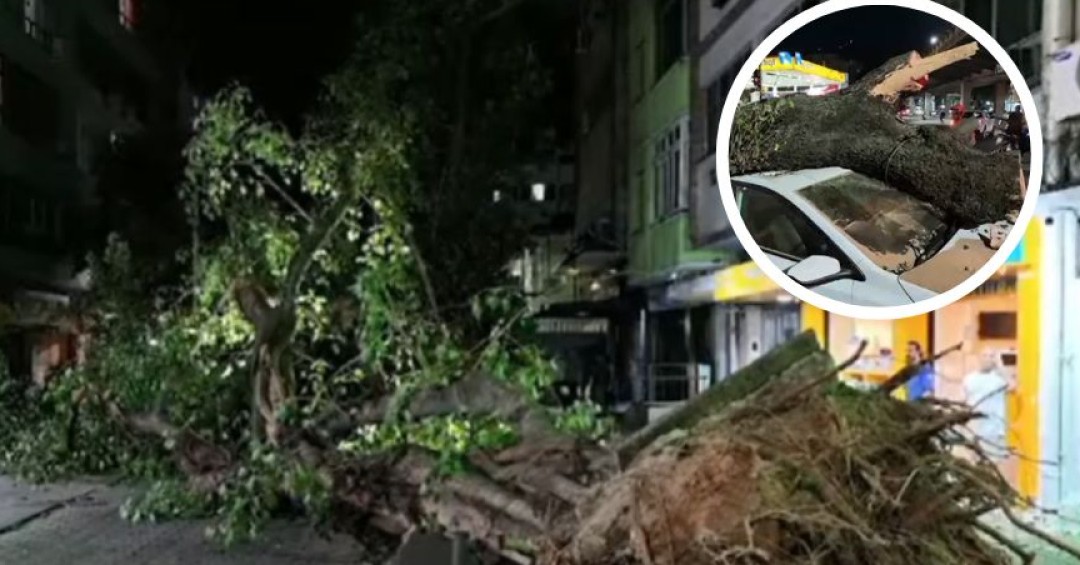 Brasil: Ráfagas de viento de 100 km/h dejan muertos en Río de Janeiro y São Paulo