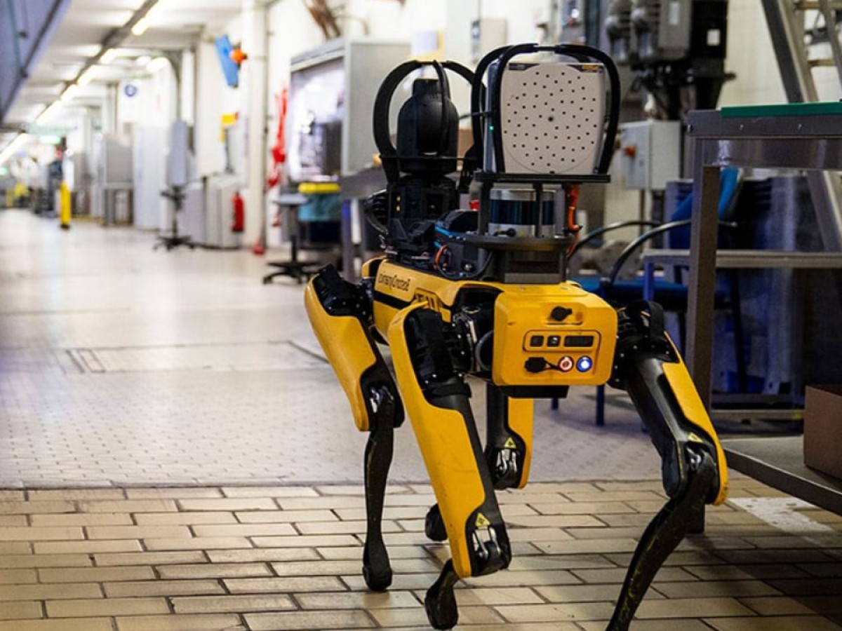 Estados Unidos planea comprar perros robots para operativos de ICE, ¿qué harán?