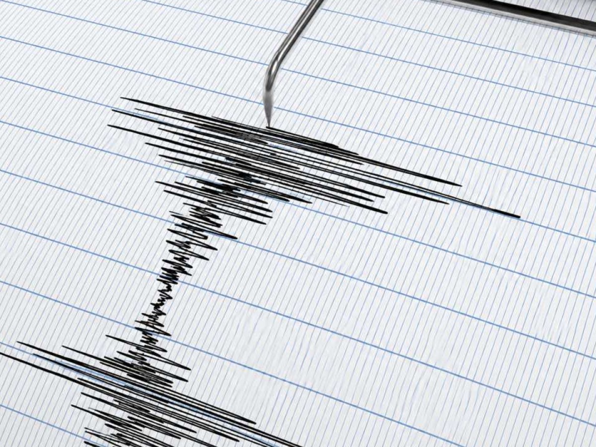 Dos fuertes sismos sacuden Nueva Zelanda con minutos de diferencia