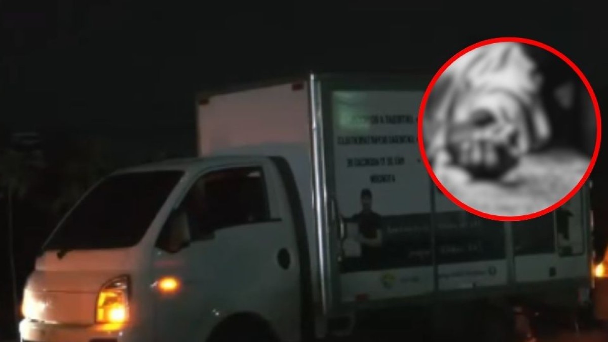 Carretera de Oro: peatón muere atropellado por un camión cuando intentaba cruzar la arteria - Canal 12 de El Salvador