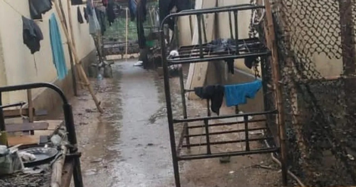 Salvadoreños eran privados de agua y comida para obligarlos a combatir en el Congo, África