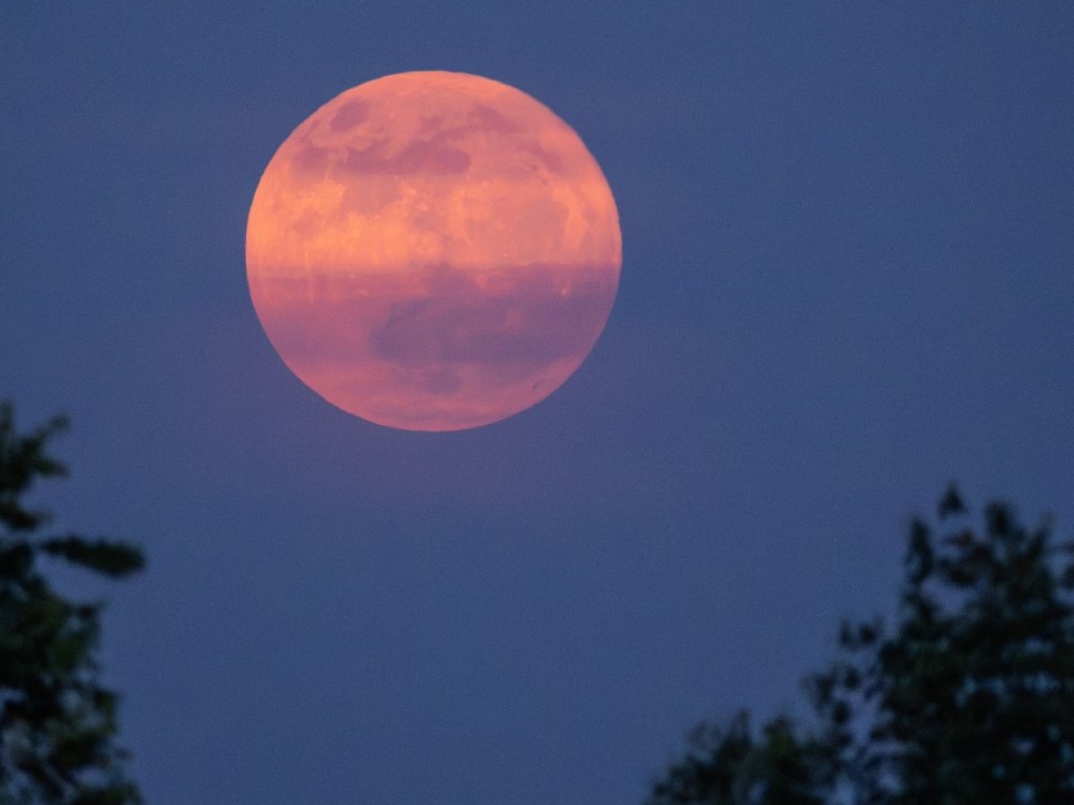 Luna de Fresa 2026 cuándo verla y qué significa su famoso nombre