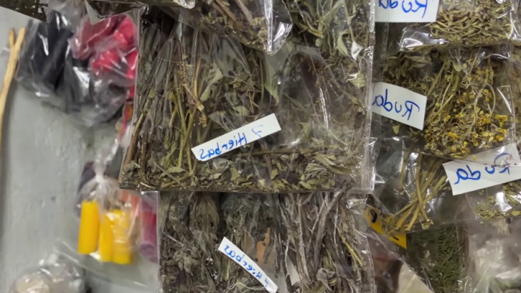 Demanda de hierbas medicinales - Canal 12 de El Salvador