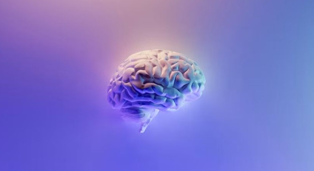 Parálisis cerebral se origina por lesiones en un cerebro inmaduro antes, durante o después del parto