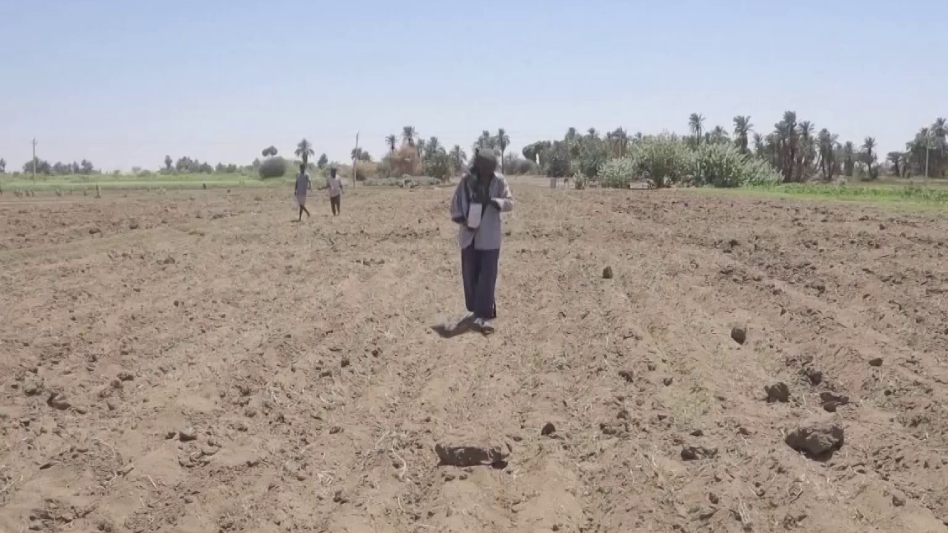 Impactos del fenómeno del niño en el sector agrícola