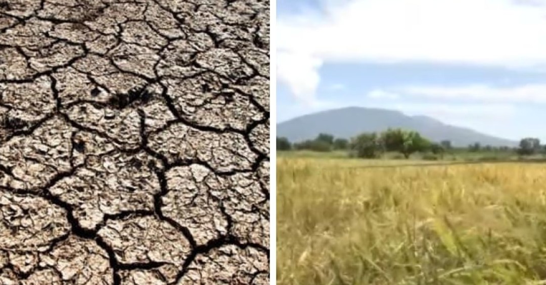 El Niño podría ser uno de los más fuertes registrados