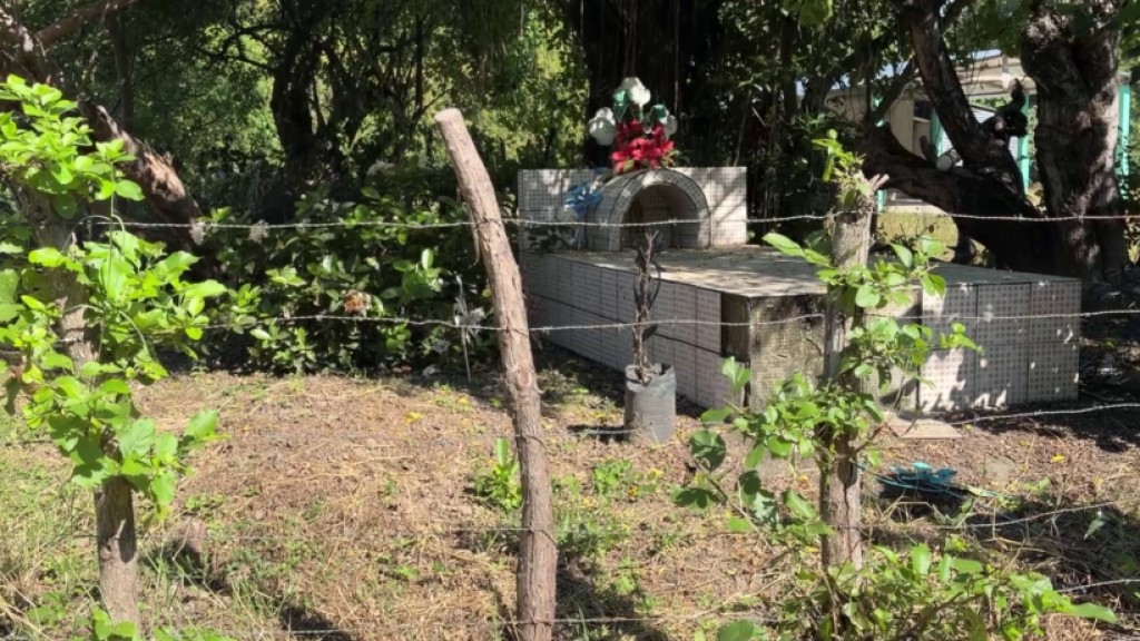 Familias en Zacatecoluca entierran a sus muertos en sus patios - Canal 12 de El Salvador