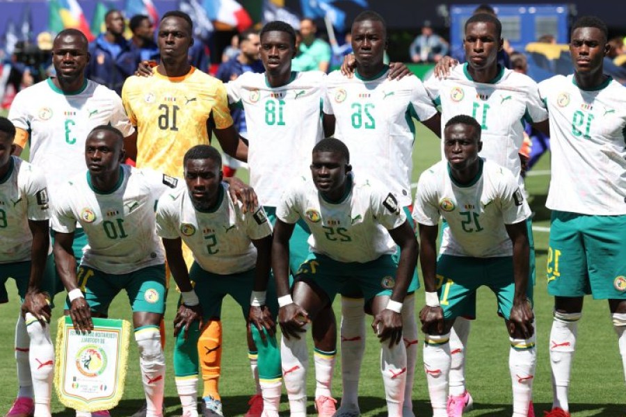 Leones, elefantes o tiburones: las historias detrás de los apodos africanos del Mundial