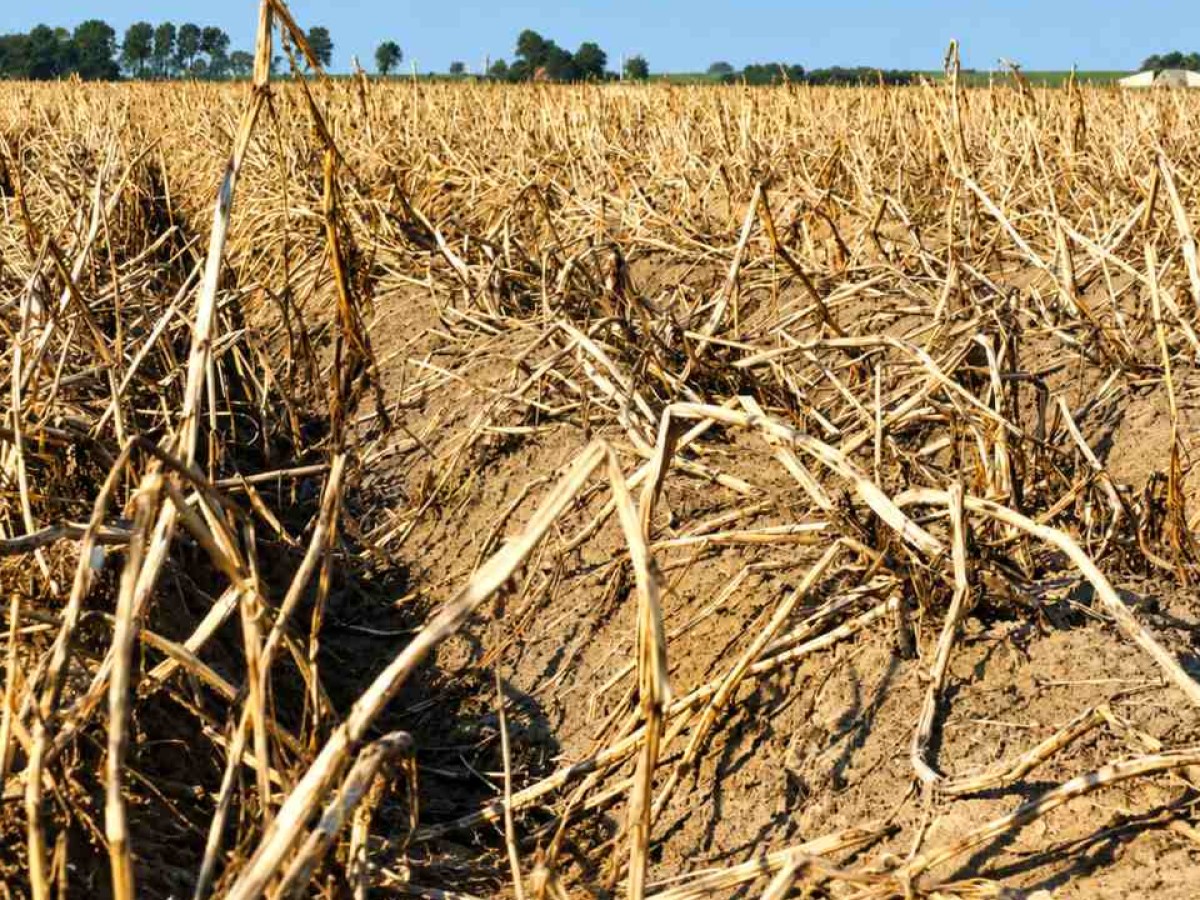 Honduras sigue en crisis hídrica pese a trabajos para generar lluvia artificial