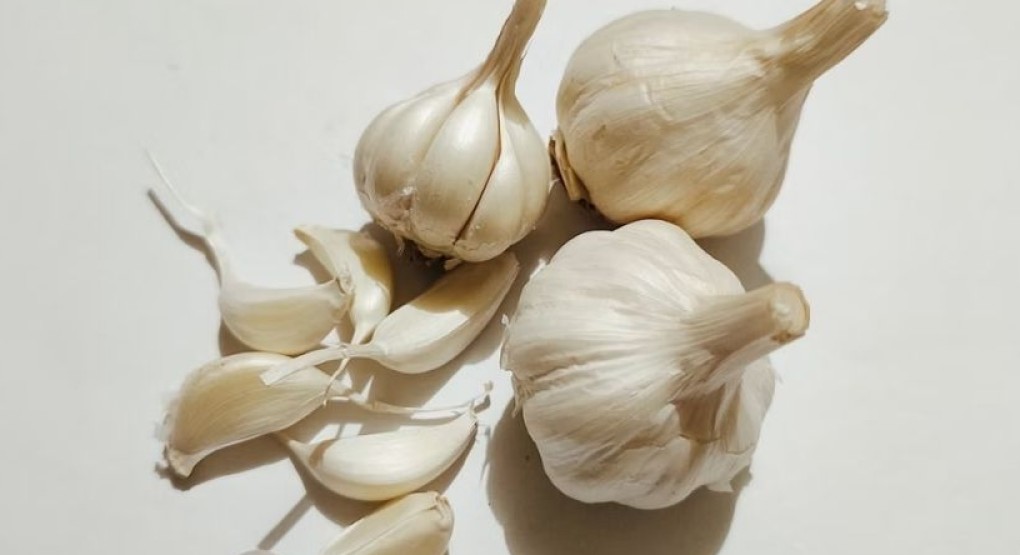 Nutricionista aclara los mitos y verdades del ajo