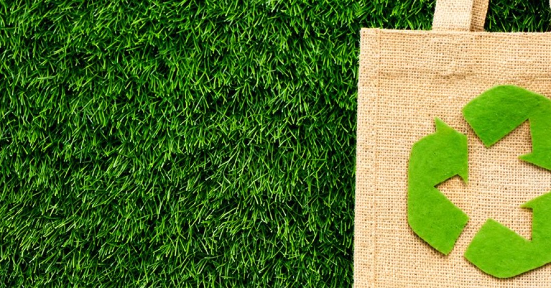 Día Internacional Libre de Bolsas de Plástico: fecha promueve consumo responsable y reciclaje