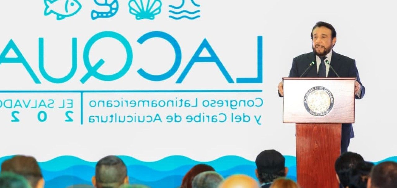 Oportunidad oceánica: El Salvador impulsa el desarrollo azul latinoamericano | Política