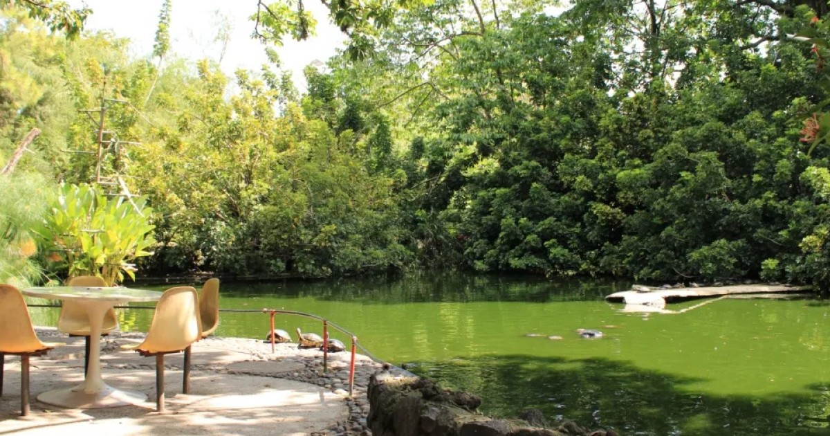 El parque asentado en un extinto cráter volcánico y antigua residencia de una familia alemana en Antiguo Cuscatlán (+FOTOS)