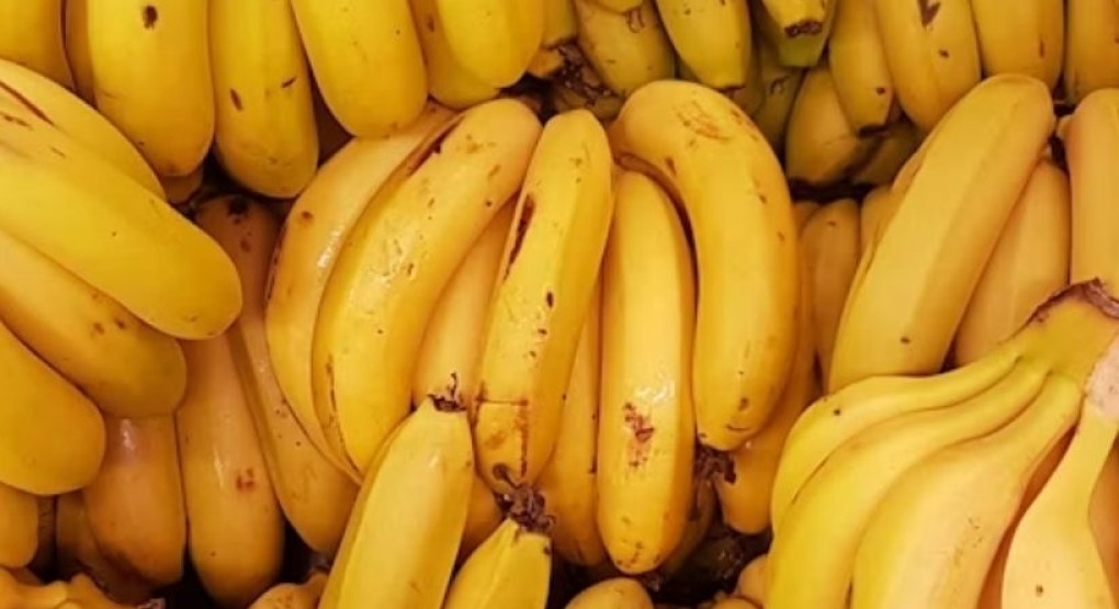 Nutricionista explica los mitos y verdades que rodean al plátano