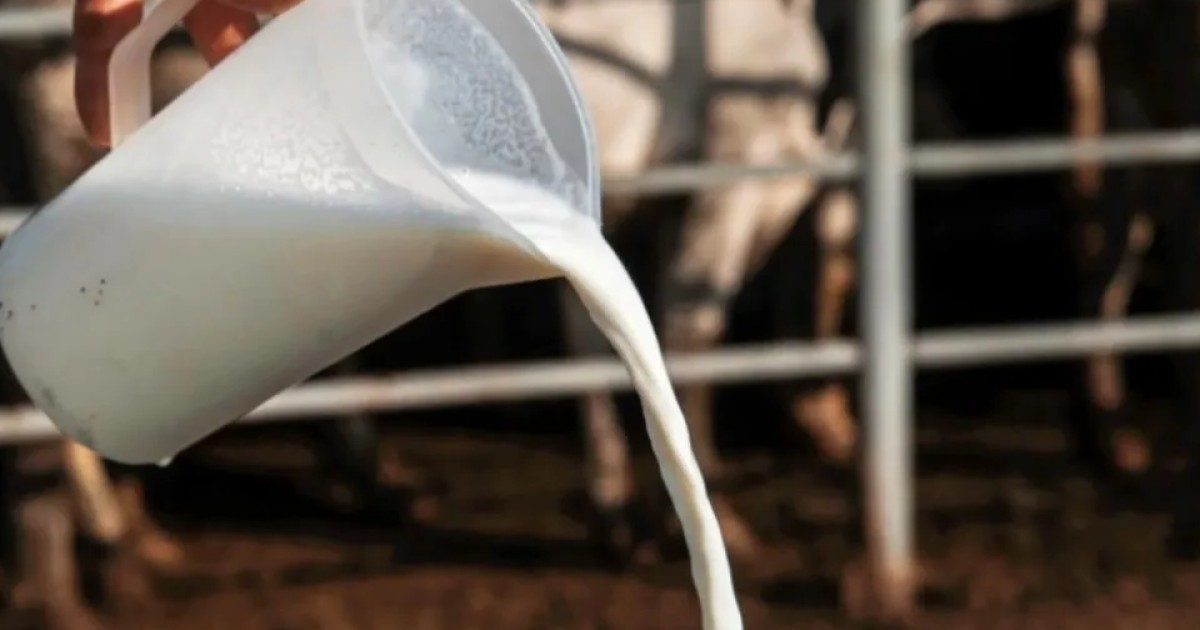 "Seguiremos comprando la leche fluida de vaca al productor": ASILECHE