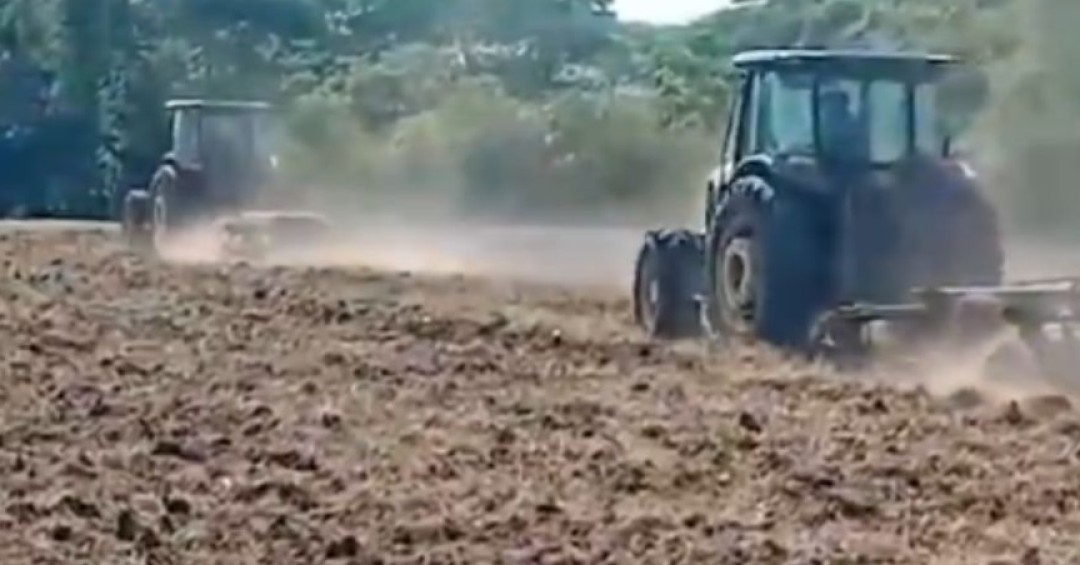 Sequía eleva costos de cultivo y agricultores pierden hasta tres siembras