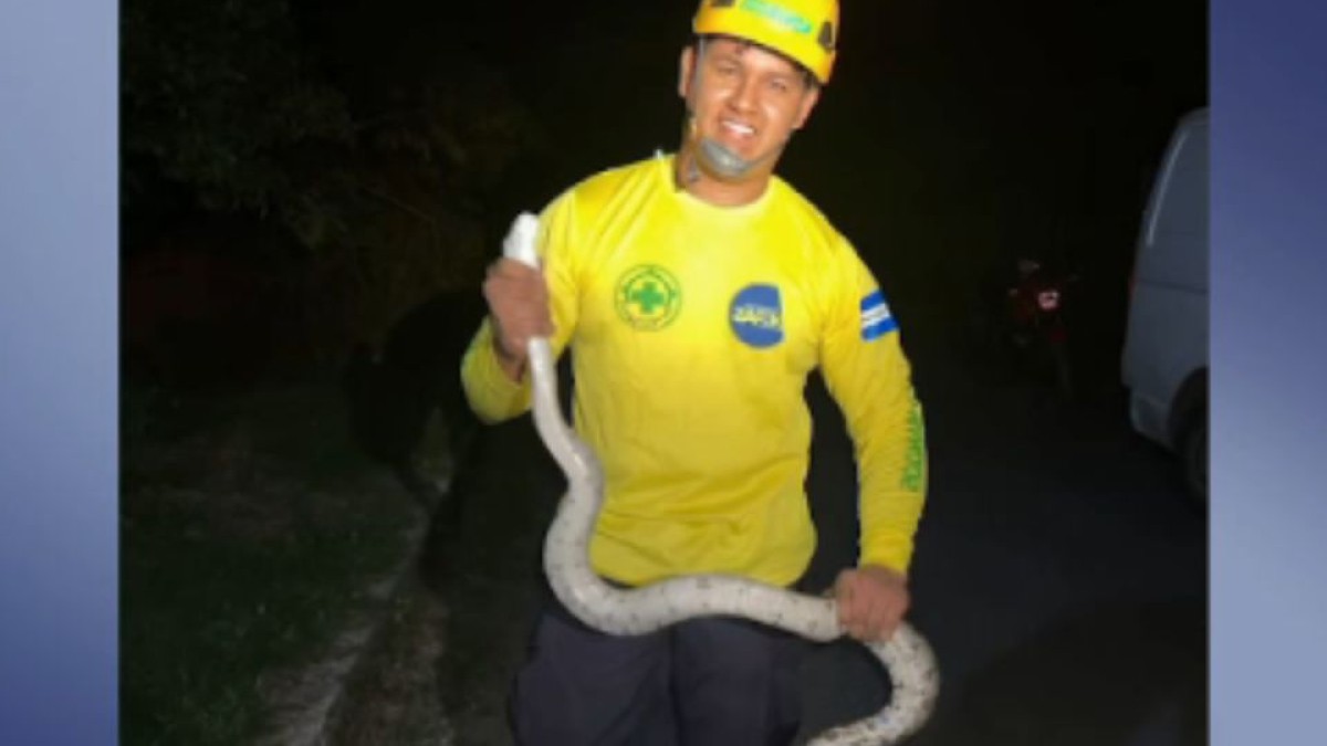 San Juan Nonualco: Comandos de Salvamento retira una serpiente hallada en cantón Zacatillo