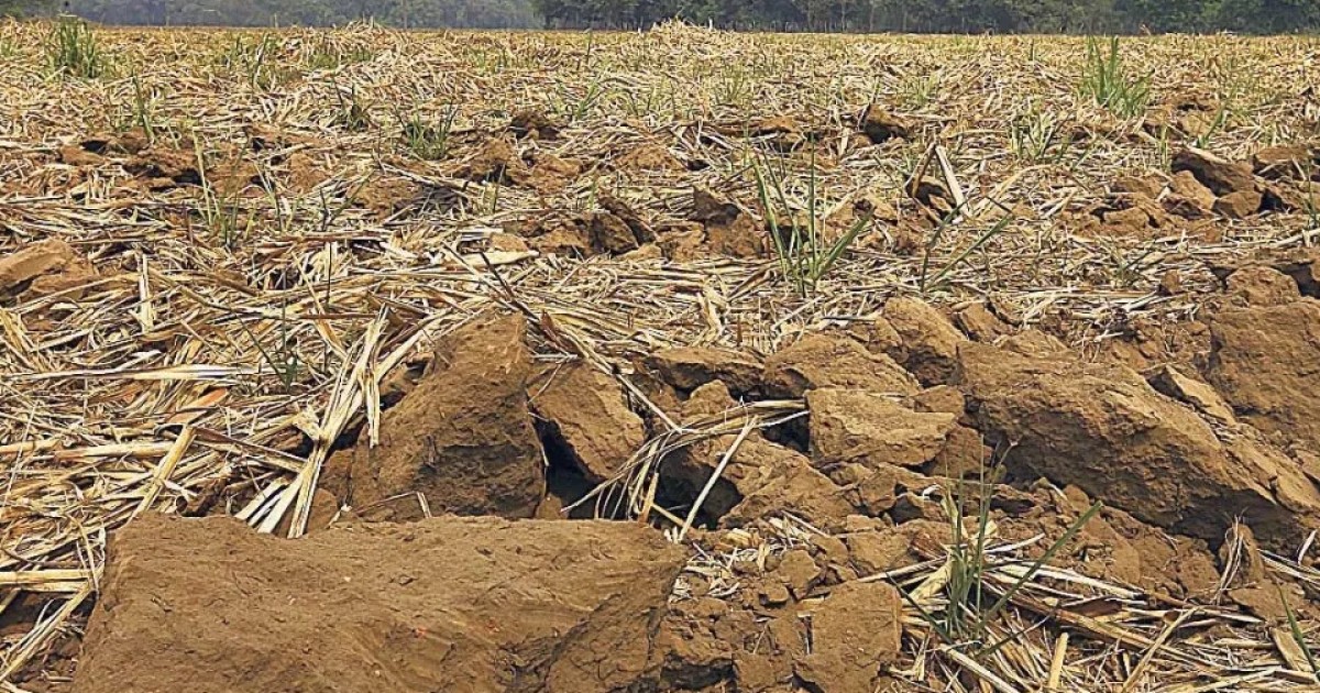 Medio Ambiente confirma el inicio del primer evento de sequía en El Salvador