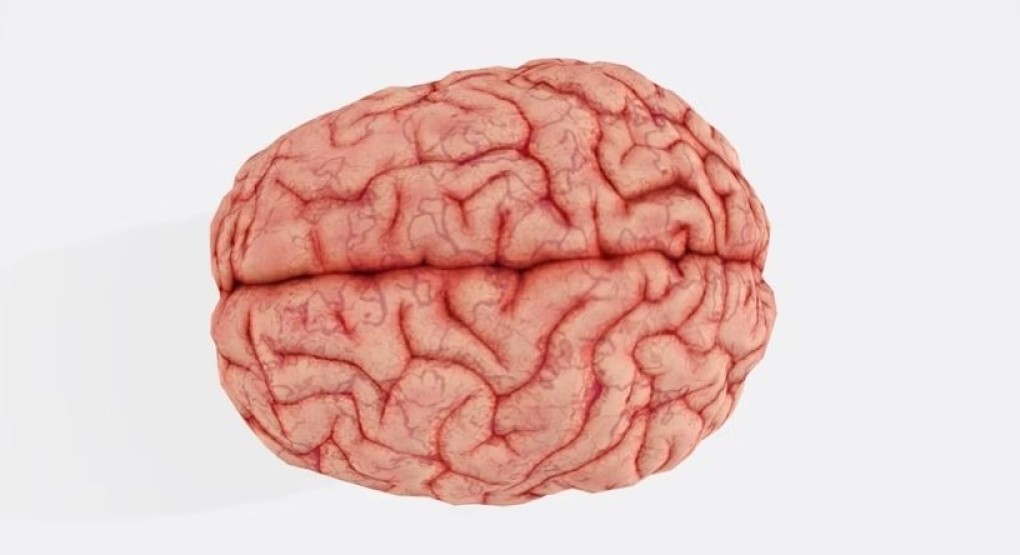 Efecto placebo: el cerebro puede aliviar síntomas sin ingredientes activos