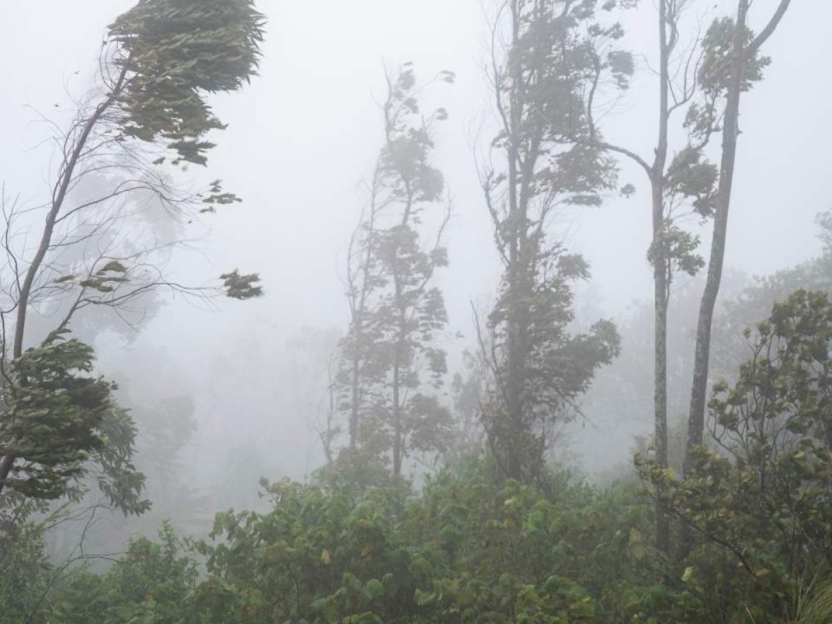 Honduras provocará lluvias artificiales para aliviar efectos de la sequía